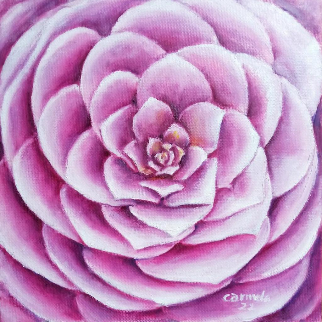 Centro de una camelia