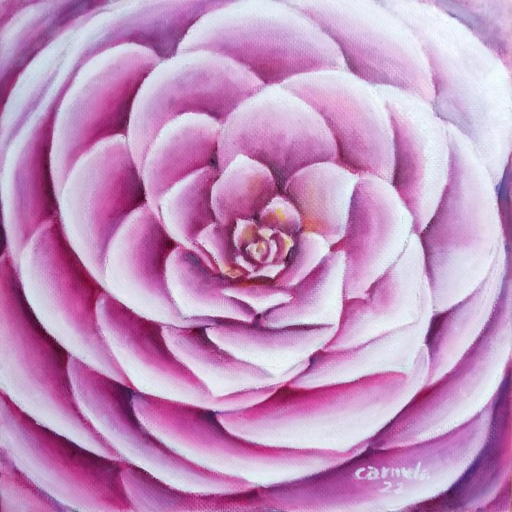 Centro de una camelia