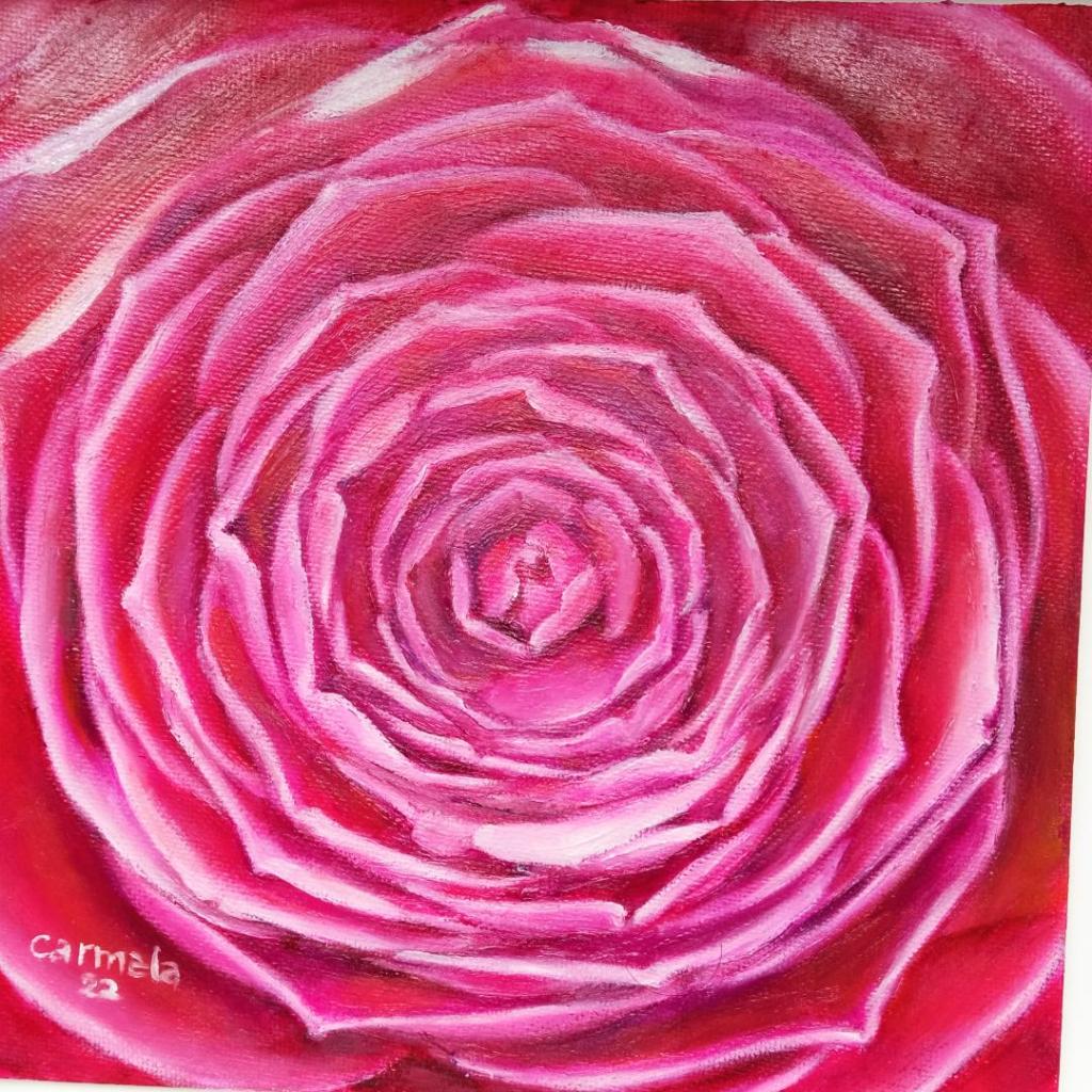 Centro de una camelia